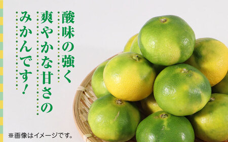 【先行予約】極早生みかん 約10kg　2S〜2Lサイズ　【くまふる】[ZBG054]