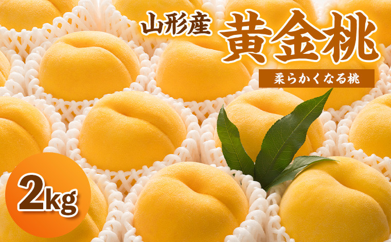 
山形の黄桃 「黄金桃」2kg(4～8玉) 秀品 [柔らかくなる桃] フルーツ 果物 くだもの 桃 もも モモ ピーチ 山形県 山形市 山形 FY24-161
