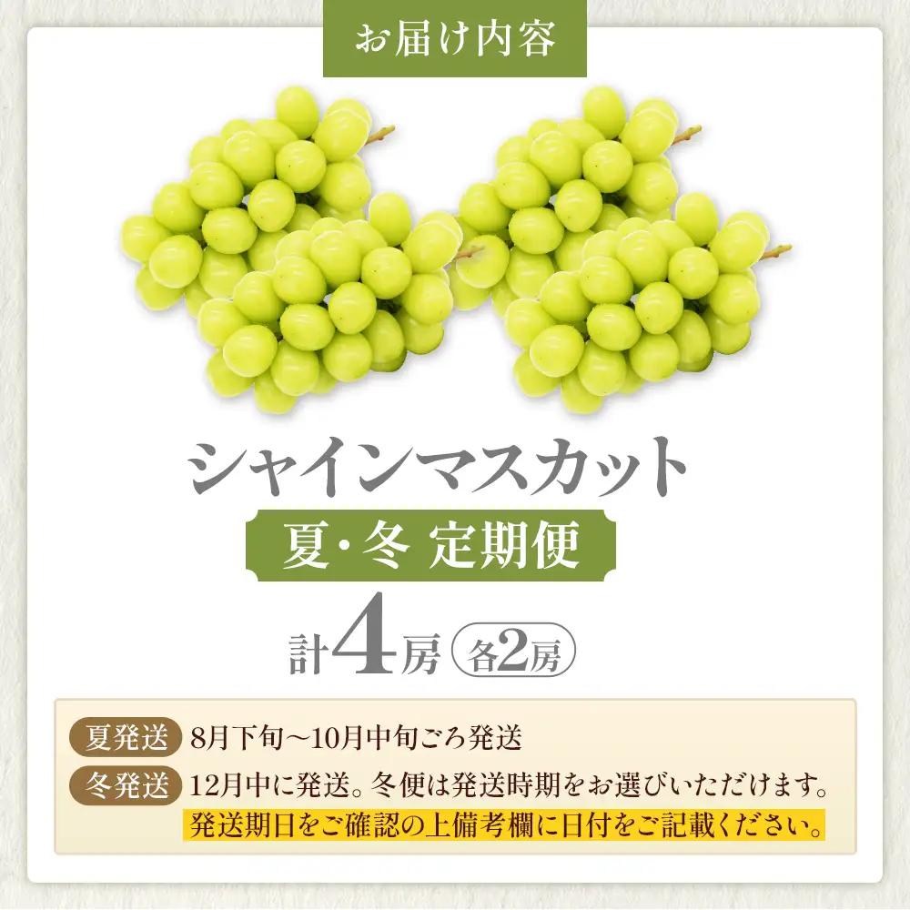 シャインマスカット 夏と冬 定期便 2回 フルーツ 12回 果物 フルーツ 山梨