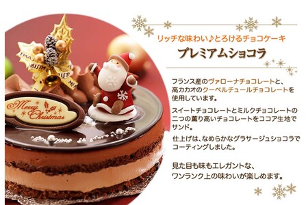 クリスマスケーキ 『プレミアムショコラ』5号 ちょっとリッチな チョコレートケーキ【お届け予定：12/20～12/24】冷凍発送 北海道 新ひだか町 クリスマスケーキ クリスマスケーキ クリスマスケー