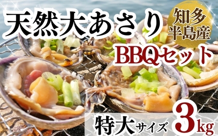 大あさり 特大 3kg アサリアサリアサリ 岬だより