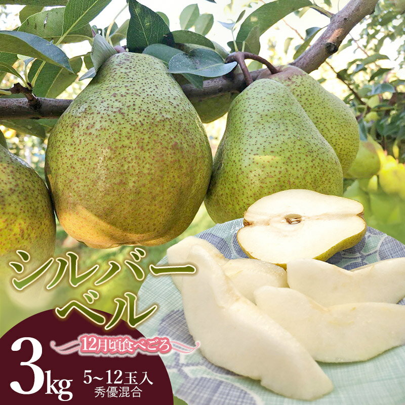 【ふるさと納税】【令和7年産 先行予約】 シルバーベル（洋梨） 3kg（5〜12玉入） 秀優混合　庄内産直センター