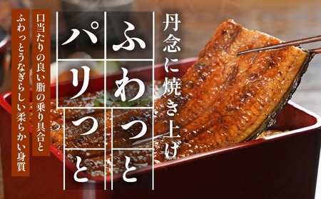 【父の日】宮崎県育ちのうなぎ蒲焼2尾300g以上≪山椒・たれ付≫≪6月18日～21日お届け≫_13-M301-FG_(都城市) うなぎ蒲焼(有頭) 宮崎県産 真空 山椒・たれ付 父の日 ギフト