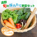 【ふるさと納税】【偶数月 6回 定期便 】旬の採れたて野菜の詰め合わせセット（7～10品） 岩手県 遠野市 産 野菜 やさい セット 詰め合わせ 新鮮 直送 旬 とれたて ふるさと 仕送りキャンプ アウトドア バーベキュー BBQ 料理 栄養 家庭 健康 農家 お取り寄せ 送料無料