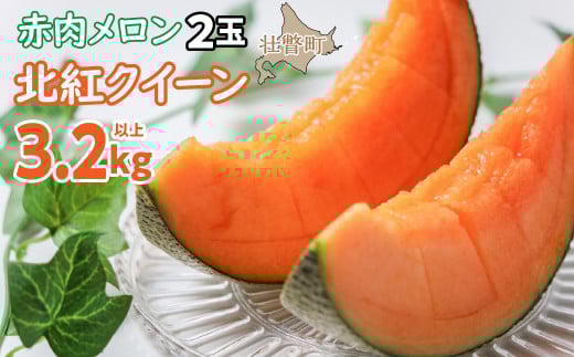 ＜2026年7月上旬よりお届け＞北海道壮瞥産 赤肉メロン「北紅クイーン」2玉入り約3.2kg以上 SBTP004