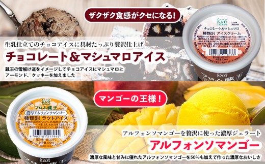 【夏季出荷】フロム蔵王 チョコレート＆マシュマロとアルフォンソマンゴーセット（4種類×6個）24個入