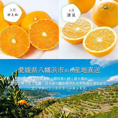 ふるさと納税 八幡浜市 【発送月固定定期便】愛媛の人気品種を厳選! 旬のかんきつ定期便(秀品)全6回【H25-120】 |  | 02