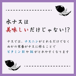 まるやま農園 泉州水なす ぬか漬け 10個入【087D-036】