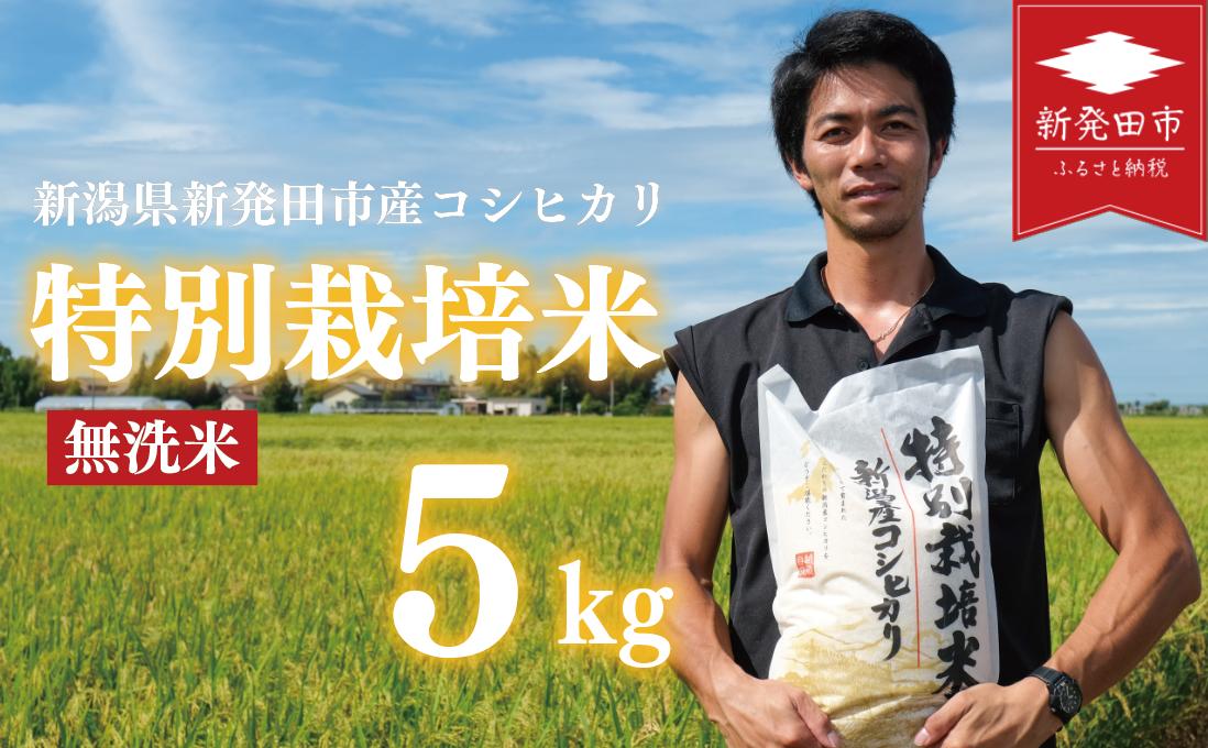 コシヒカリ 無洗米 5kg 令和7年産 特別栽培米 こしひかり 米 お米 こめ 新潟米 新潟県産 新潟産 新潟 新潟県 新発田産 新発田 新発田市 斗伸 toushin001_02