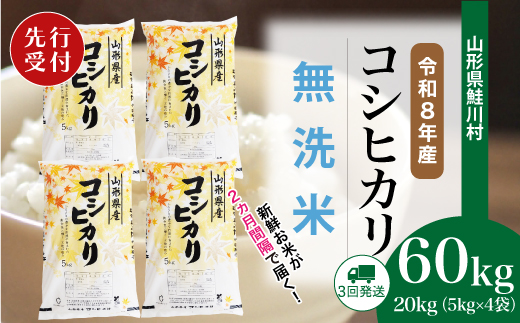 ＜令和8年産米先行受付＞ 令和9年1月上旬より配送開始 こしひかり【無洗米】60kg定期便(20kg×3回)　鮭川村