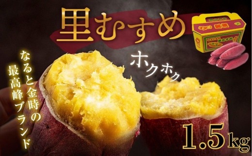 【 予約受付中・2025年9月下旬～10月頃より順次発送 】なると金時 （ 里むすめ ） 1.5kg さつまいも 鳴門金時 熟成 国産 スイーツ 焼き芋 焼芋 焼いも 干し芋 ギフト 贈り物 お土産 サツマイモ 里娘