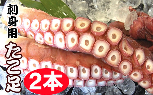C-70068 【北海道根室産】お刺身用たこ足2本(計2～2.5kg)