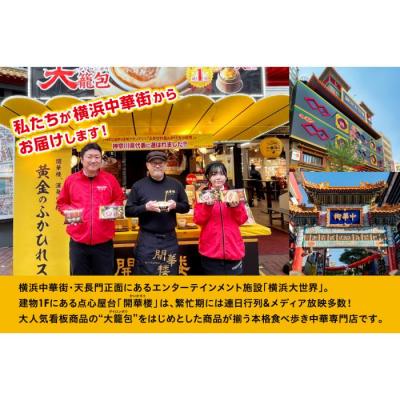 ふるさと納税 横浜市 「 大籠包」含む点心2種セット(2箱 計8個入り)【横浜中華街 開華楼】[E] |  | 01