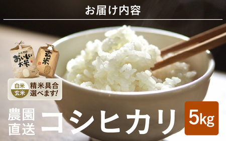 【令和7年産・新米】【玄米 5kg】 コシヒカリ 5kg ～本原農園からまごころコメて～ 【お米 こしひかり 白米 玄米 5キロ 選べる 精米 ブランド米 ごはん ご飯 おいしい ふるさと納税米 産地