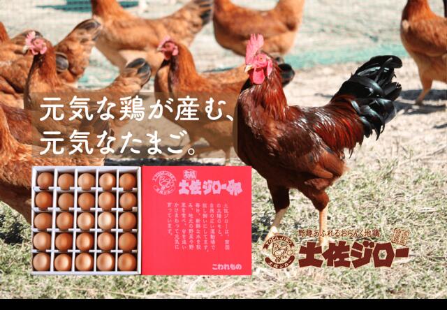 【ふるさと納税】 裏庭 土佐ジロー 有精卵 25個入り パック たまご 卵 地鶏 高級卵 濃厚 こだわり 養鶏 生卵 朝食 卵かけごはん オムレツ 目玉焼き 贈答用 贈り物 ギフト 贅沢 美味しい 新鮮 安全 安心 健康 栄養 高たんぱく質 高知県 宿毛市 高知県