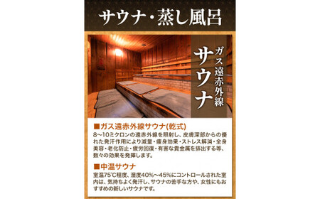 日帰り温泉入浴回数券 12枚綴り 山江温泉ほたる 《30日以内に順次出荷(土日祝除く)》 熊本県 球磨郡 山江村 温泉 入浴券 送料無料