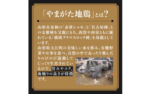やまがた地鶏「モモ肉」 2袋