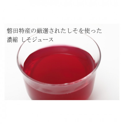 
            無添加しそジュース500ml×6本_ ジュース しそジュース 紫蘇ジュース 濃縮 濃縮タイプ 加糖 飲料 飲み物 ドリンク 赤しそ 赤紫蘇 しそ シソ 紫蘇 無添加 6本 炭酸 焼酎 牛乳 静岡県 磐田市 家庭用 ギフト プレゼント 送料無料 【1417019】
          