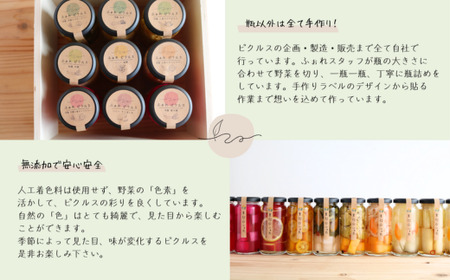 季節野菜のピクルス 3本詰め合わせ | ピクルス