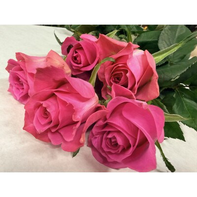 4月発送!同級生コンビでお届けするピンクバラのブーケとおいしいお米(精米)のセット・栄養剤付き!【1708202】