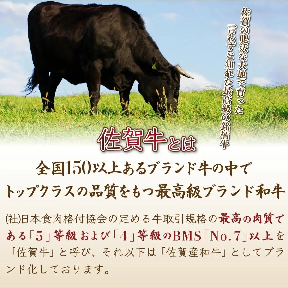 佐賀産和牛 ハンバーグ 120g×5個 