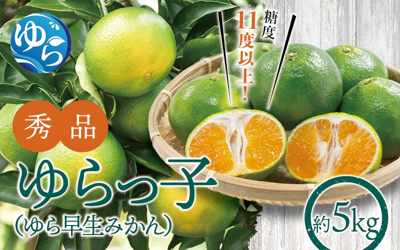 
            【糖度11度以上!】ゆら早生みかん「ゆらっ子」5kg ※2025年10月初旬頃～順次発送予定(お届け日指定不可) / 極早生 早生 由良町 和歌山県 柑橘 密柑 完熟 甘い ミカン 光センサー 柑橘 果実 くだもの フルーツ ブ JA認定ブランド品 糖度11度  先行予約【jahd002】
          
