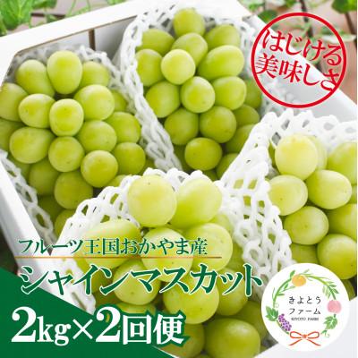 ふるさと納税 津山市 【発送月固定定期便】【2026年先行予約】シャインマスカットを楽しむ満足便/全便計4.0kg〜全2回