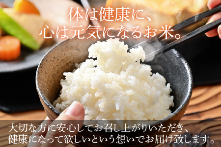 【先行予約】【令和6年産】コシヒカリ 精米 10kg 特別栽培米 5kg×2袋 化学肥料不使用  ＜温度と湿度を常時管理し新鮮米を出荷！＞ / 伊与衛門農園の特別栽培米 高品質 鮮度抜群 福井県 あわ