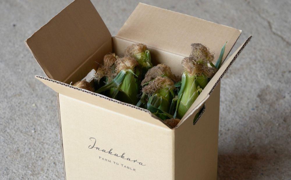 【富士山の麓で育つ】河口湖ブランドとうもろこしInakakara「恵味ゴールド」20本入