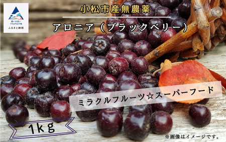 アロニア（ブラックベリー）1kg　008051