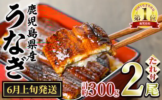 【0124314a-2506】＜6月上旬発送予定＞東串良町のうなぎ蒲焼(無頭)(2尾・計約300g・タレ、山椒付) うなぎ 高級 ウナギ 鰻 国産 蒲焼 蒲焼き たれ 鹿児島 ふるさと 人気【アクアおおすみ】