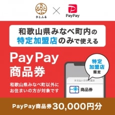 和歌山県みなべ町　PayPay商品券(30,000円分)※地域内の一部の加盟店のみで利用可