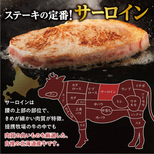 十勝スロウフード 厳選 特選牛サーロインステーキ Ｓサイズ10枚セット！北海道十勝 清水町 ステーキ 牛肉 サーロインステーキ サーロイン 牛 肉_S006-0259