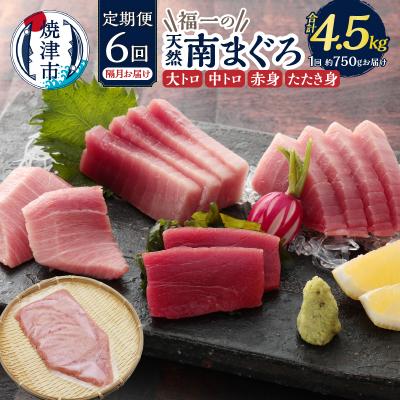 ふるさと納税 焼津市 天然南まぐろとたたき身 6回隔月でお届け(b150-032)