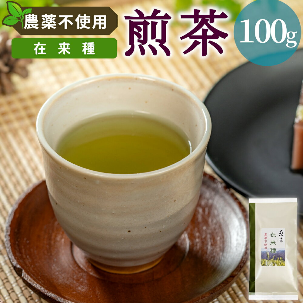 【ふるさと納税】農薬不使用！煎茶 在来種 100g 常磐園 白川茶 美濃白川茶 日本茶 緑茶 煎茶 茶葉 お茶 一番茶 春摘み リーフ 国産 お試し 岐阜県 東白川村 希少