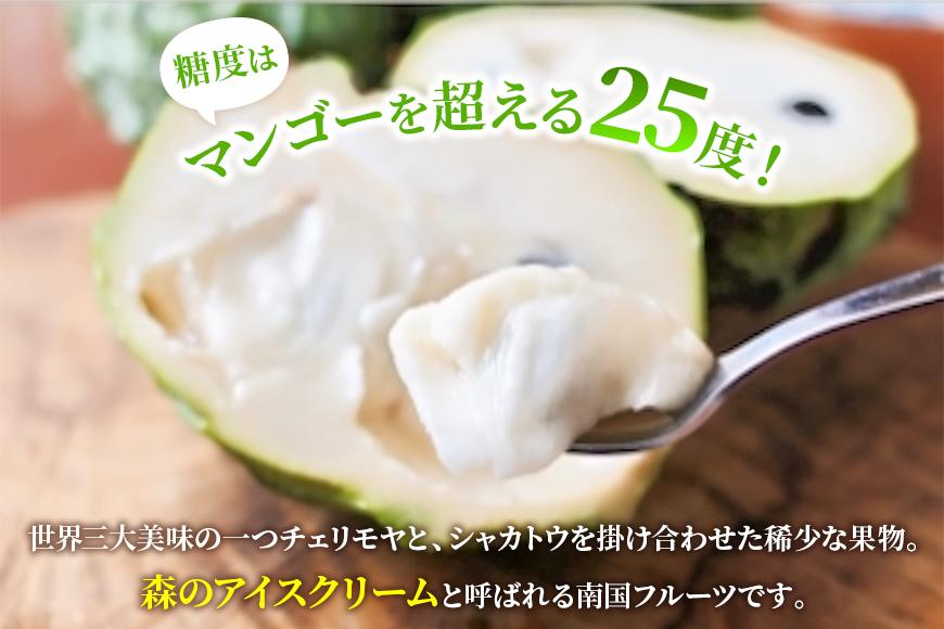 【2027年発送】宮古島産アテモヤ約1kg（２～６個入り）（CV07）