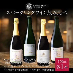 上ノ国ワイナリーのスパークリングワイン飲み比べセット「プレミアムシャルドネ2022＆セイベルロゼスパークリング2023＆ナイアガラ2022＆ナイアガラ2023」　750ml×各1本　北海道ワイン　ワイン　wine　飲み比べ　お家飲み　プレゼント
