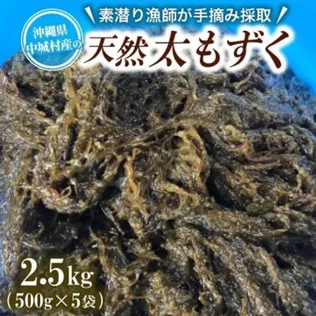 【数量限定】天然もずく 塩蔵　(500g×5p)【配送不可地域：離島】【1672257】