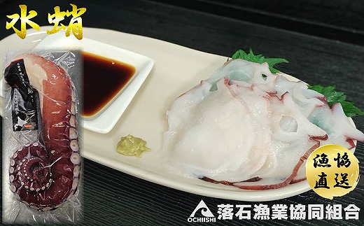 A-20007 【北海道根室産】ボイル水たこ足1本(1kg)