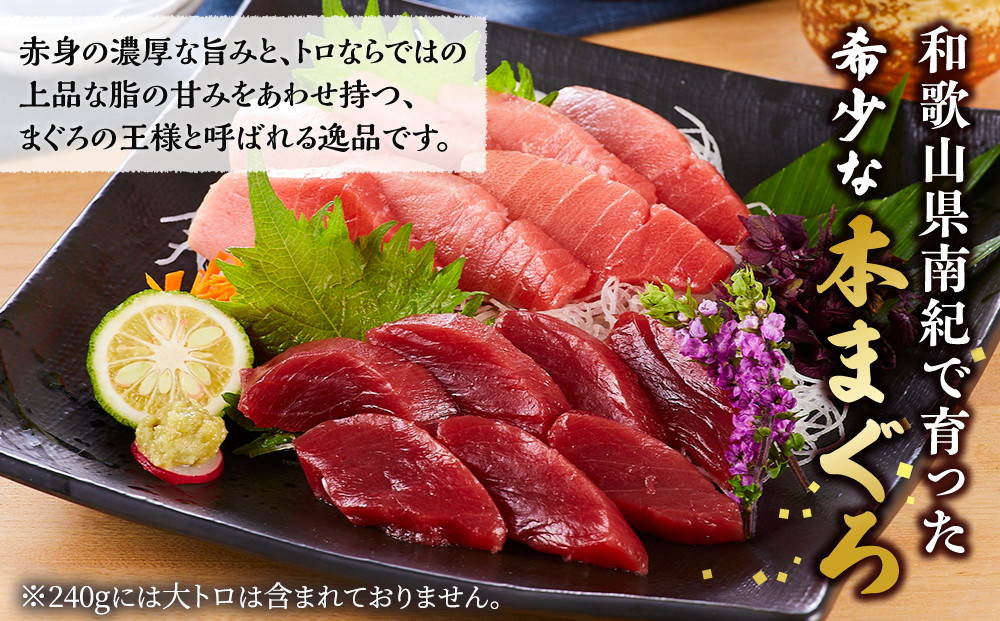 プレミア和歌山認証品 本マグロ（養殖）トロ＆赤身セット　240g［KS11］