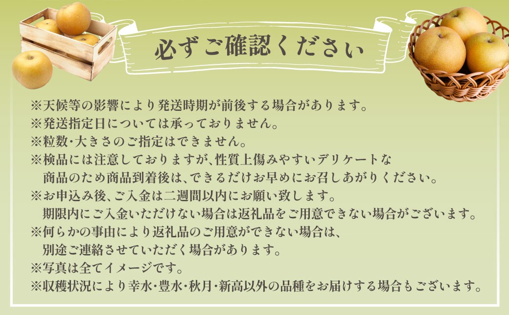 熊本市産 梨(幸水・豊水・秋月・新高など) 約1.8kg(3～6玉)