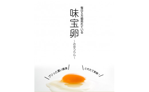  野上さん家の炭火焼 計1.2kg(120g×10パック)《60日以内に出荷予定(土日祝除く)》味宝卵 野上養鶏場
