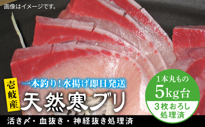 壱岐島産天然寒ブリ（5キロ台・3枚おろし） 《壱岐市》【壱岐島　玄海屋】[JBS011] 魚 刺身 しゃぶしゃぶ 56000 56000円