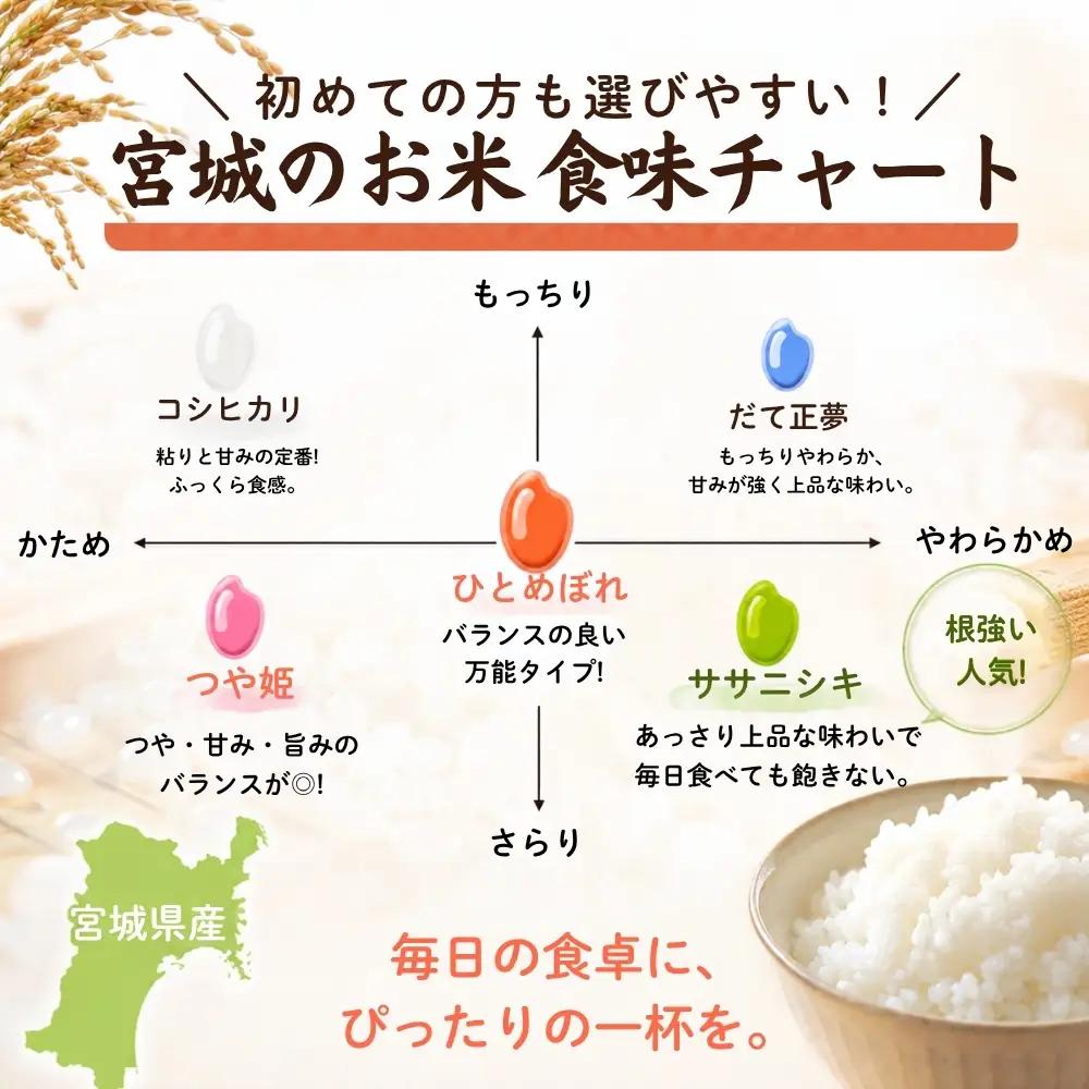 【先行予約】【新米】【令和8年10月中旬～下旬順次発送】 つや姫 精米 5kg 令和8年  宮城県産  G つや姫 