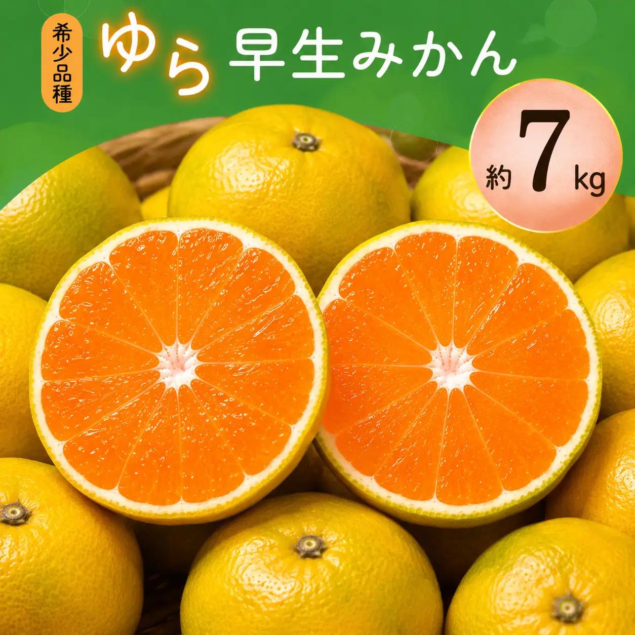 【訳あり・ご家庭用】濃厚な味わい ゆら早生みかん 約7kg サイズ混合【10月上旬より発送】希少品種《有機質肥料100％》【2026年10月上旬11月中旬順次発送予定】【CE-nuk002E】