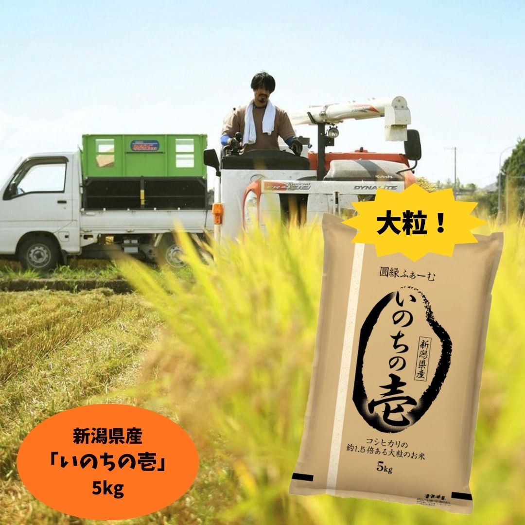 【ふるさと納税】【令和7年産】新潟県阿賀野市産 いのちの壱 5kg