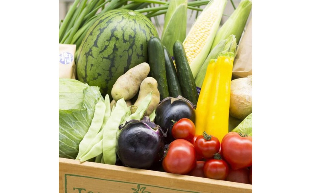 旬の野菜 5〜8種詰め合わせと京都・京丹後産コシヒカリ2kgセット 国産 新鮮 お試し おまかせ お楽しみ　京野菜　朝採れ 季節の野菜 食品 お取り寄せ　お米 ごはん ご飯 こしひかり おにぎり 白米