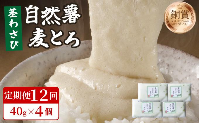 ＜定期便・全12回＞自然薯茎わさびとろろ 40g×4個|自然薯 小分け じねんじょ とろろ 山芋 やまいも 長芋 ながいも ご飯のお供 山葵 ワサビ おつまみ 酒の肴 山かけ 麦とろ そば うどん 鉄