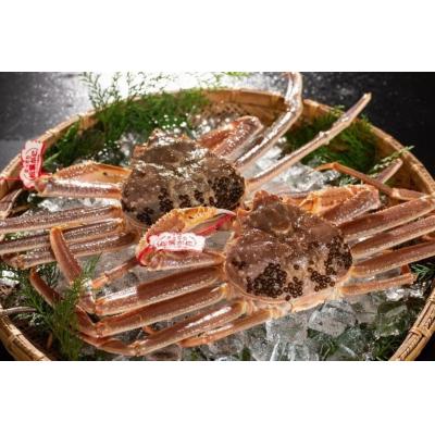 ふるさと納税 境港市 <11月中旬〜2月下旬配送予定>鳥取県産　訳あり生松葉ガニ(特大2枚)