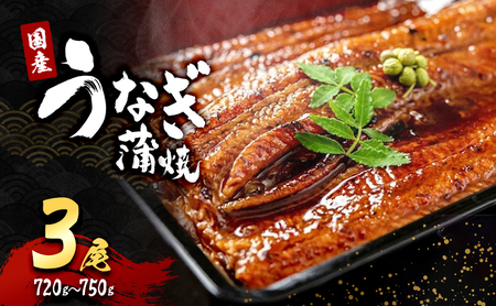 うなぎ 国産 蒲焼き 3尾 (720g～750g) 詰め合わせ セット うなぎ蒲焼 国産うなぎ 国産うなぎ蒲焼 うなぎの蒲焼 冷凍ウナギ 冷凍食品 冷凍 惣菜 おかず 魚 魚介 魚介類 大阪 大阪府 岸和田市